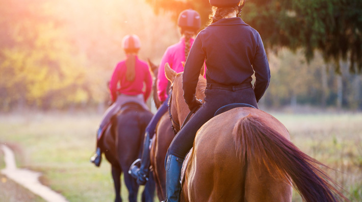 Rootsi ratsakoolid proovivad leida viise hobuste heaolu parandamiseks