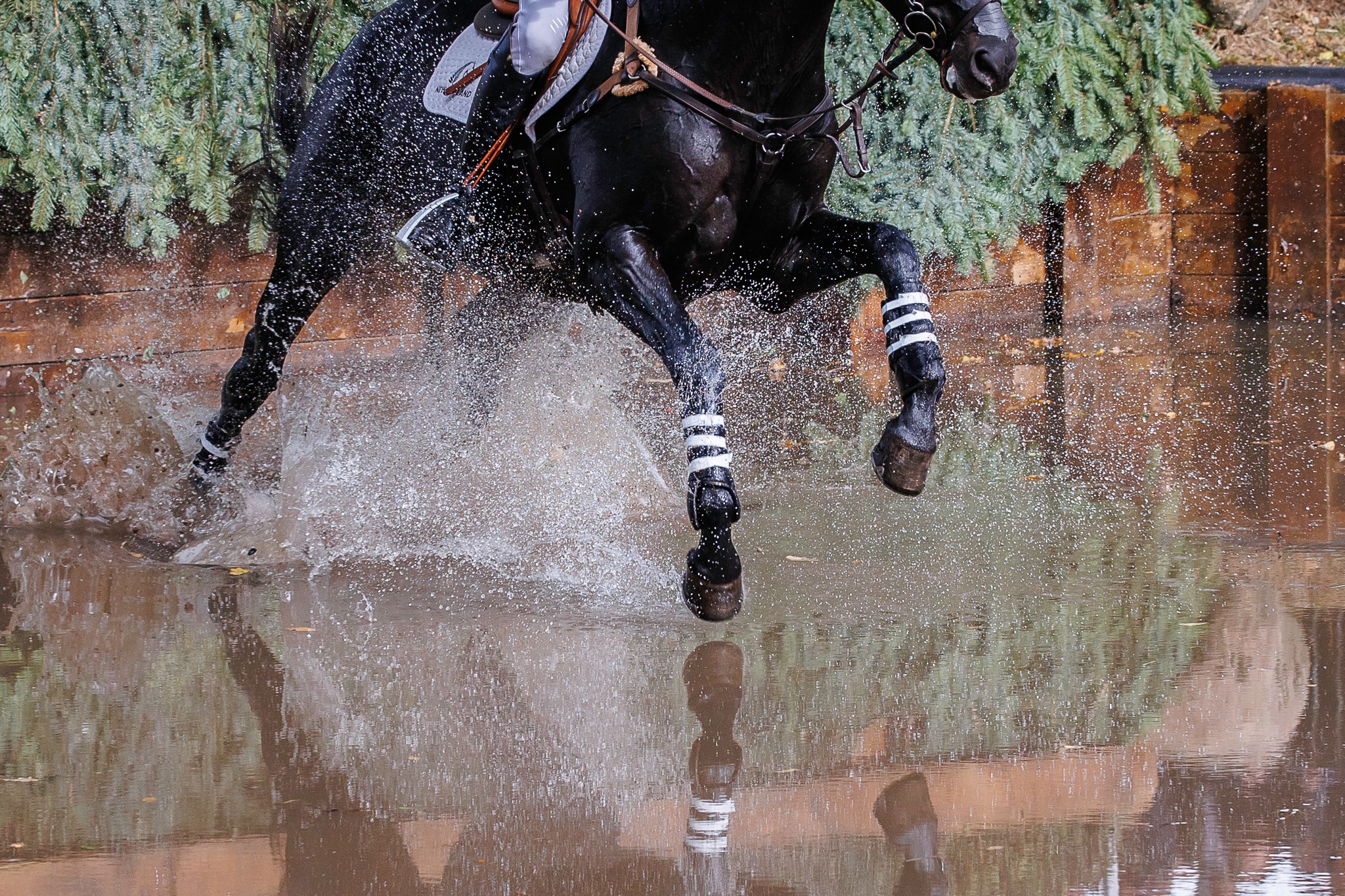 Euroopa Ratsaspordi Liit, European Equestrian Federation (EEF), viib läbi koolitusprogrammi, mis on suunatud kolmevõistluse ametnikele ja kohtunikele. Koolitus 