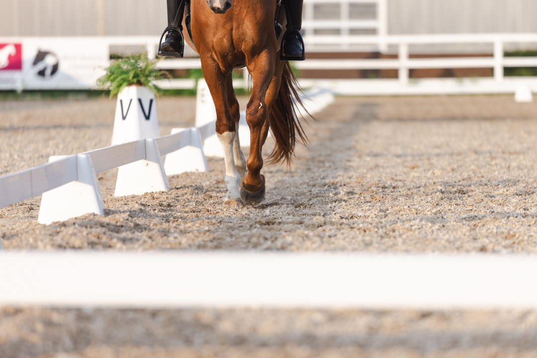 Taani Ratsaspordi Liit (Dansk Ride Forbund, DRF) on teatanud mitmetest määrustike muudatustest, mis jõustuvad uuest aastast. DRF on sel aastal olnud terava aval