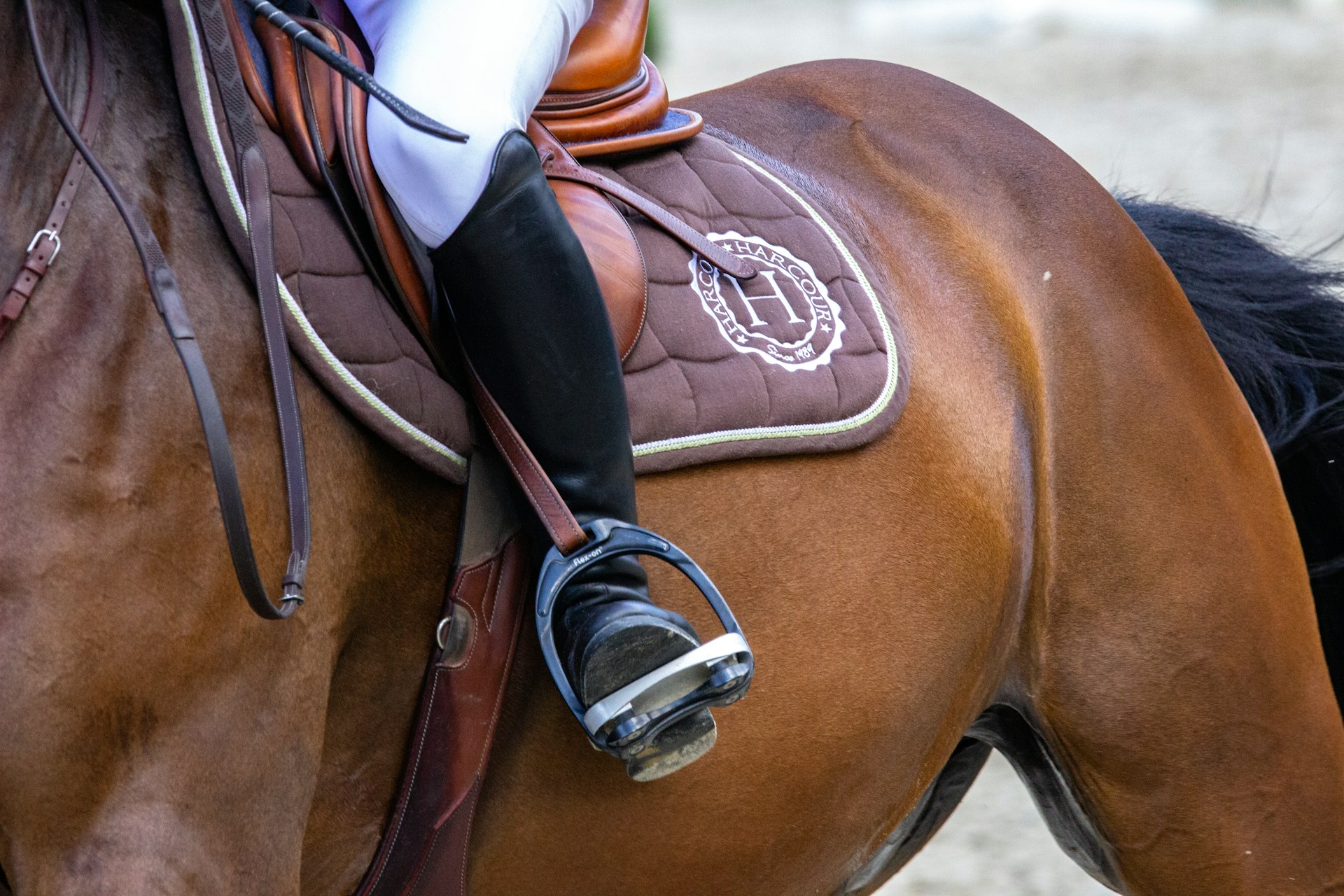 Hobuse ostu-müügi tehingutega võivad kaasneda vaidlused, eriti kui ostja leiab hiljem, et hobune ei vasta tema ootustele. Käesolev juhtum puudutab sporthobuse o