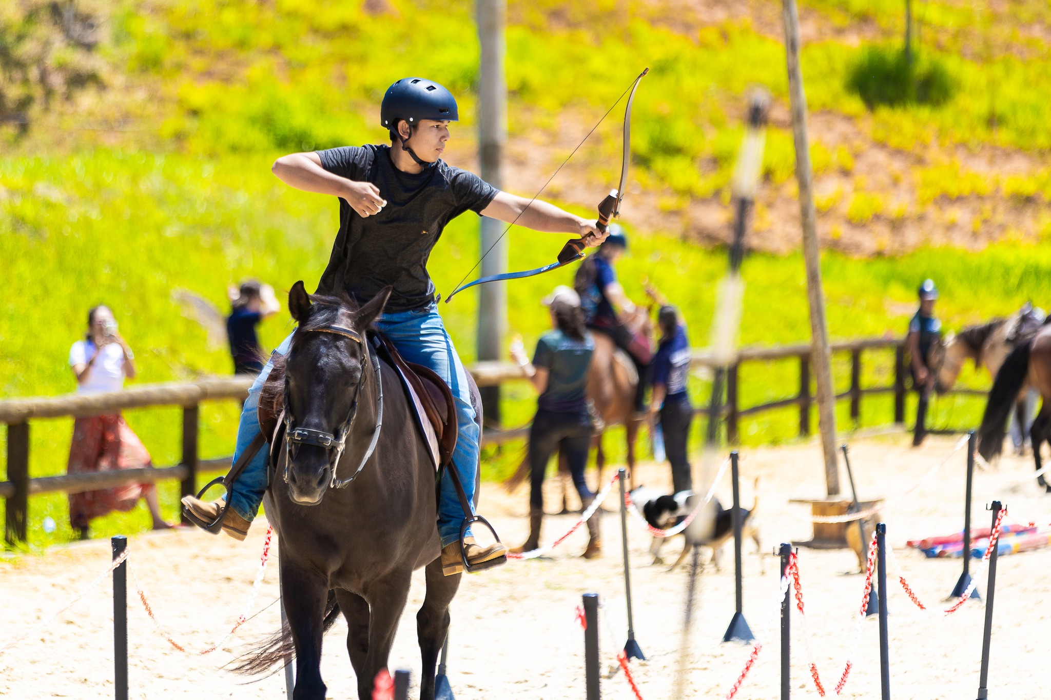Rahvusvaheline Ratsavibulaskmise Liidu (IHAA, International Horseback Archery Alliance) juhatus andis teada, et FEI ja IHAA allkirjastasid vastastikuse ametliku