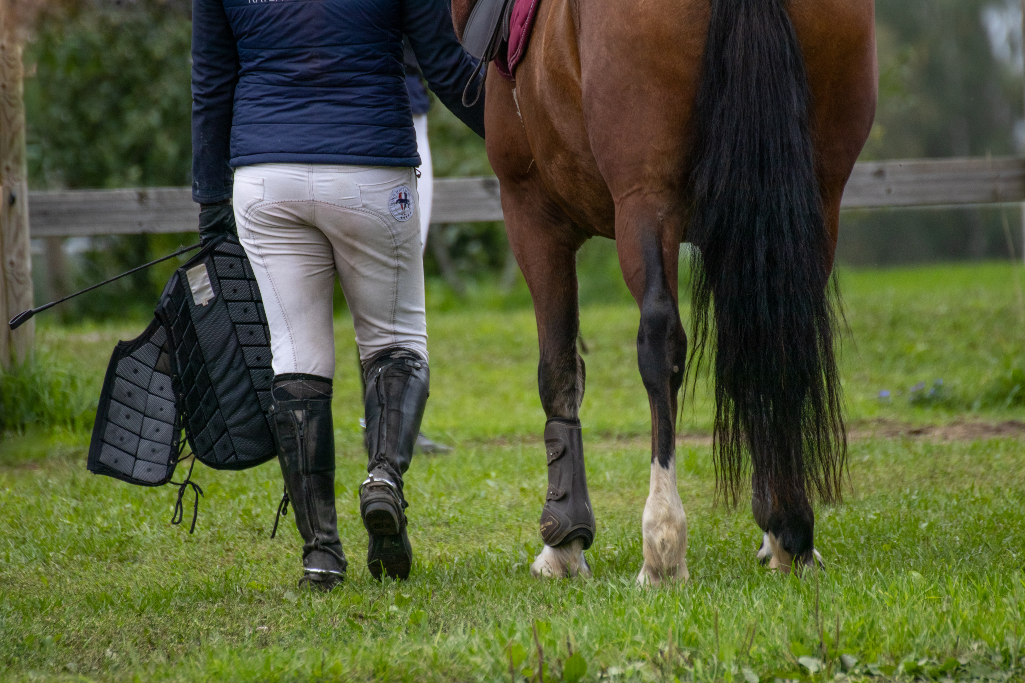 FEI teatas uue töögrupi – Equestrian Safety Vest Working Group (ESVWG) – loomisest. Tegemist on strateegilise algatusega, mille eesmärk on parandada ratsasportl