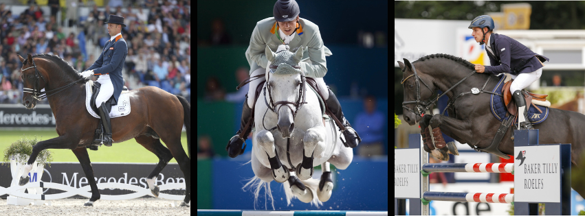 Maailma Sporthobuste Kasvatajate Föderatsioon (WBFSH) avaldas 2025. aasta parimate sugutäkkude edetabeli, mis põhineb FEI võistlustel saavutatud tulemustel. Pun